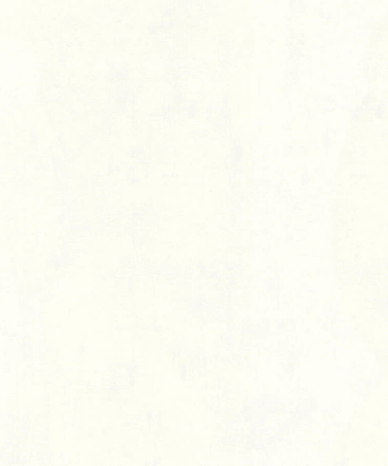 AS Creation Jade 224040/22404-0