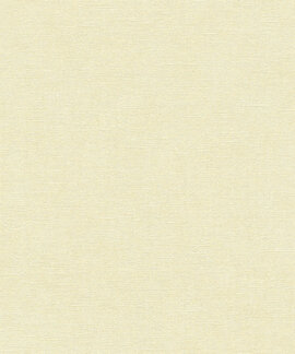 AS Creation Smart Surfaces 395651 / 39565-1