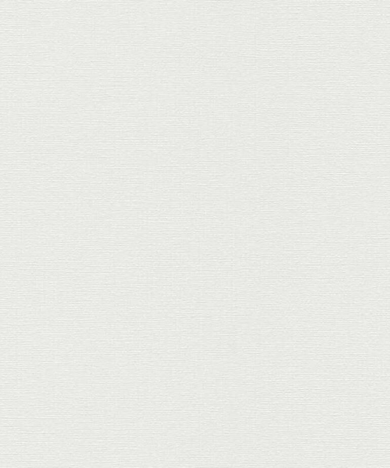 AS Creation Casual Living 249425 / 24942-5