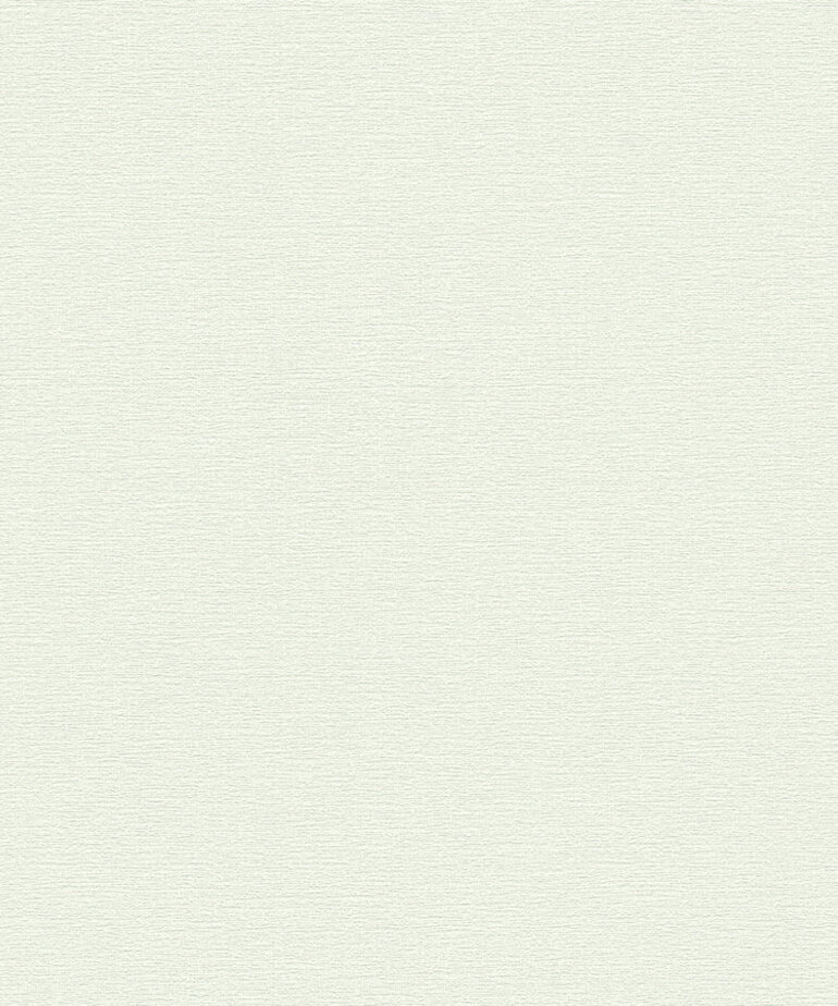 AS Creation Casual Living 395479 / 39547-9