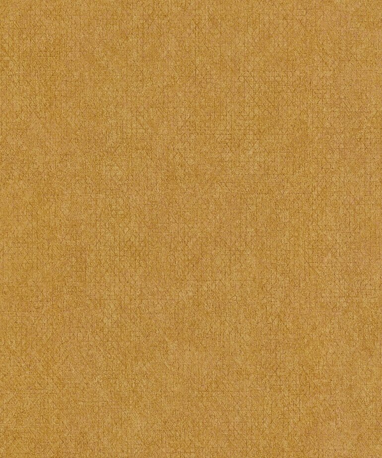 Noordwand TopChic 11220202