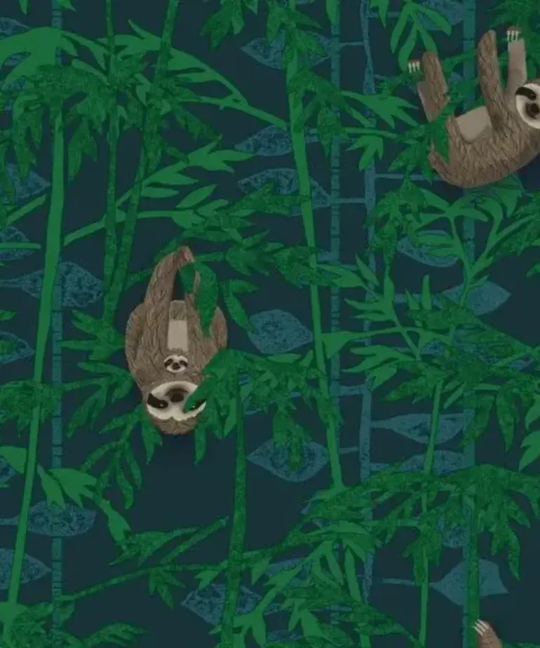 BN Doodleedo Behang Hanging In There 220713