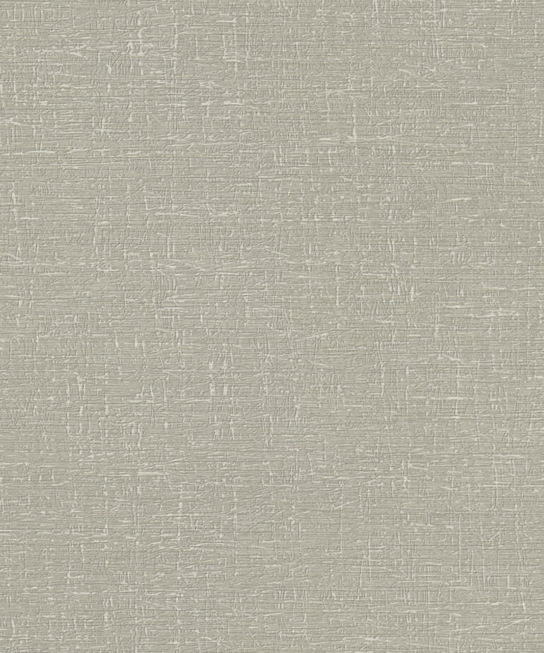 AS Creation Stories of Life 396486/39648-6