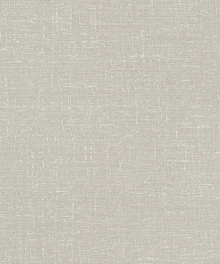 AS Creation Stories of Life 396485/39648-5