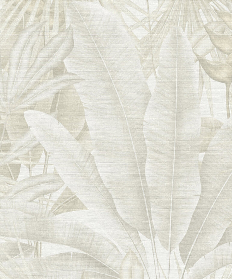 AS Creation Stories of Life 396474/39647-4