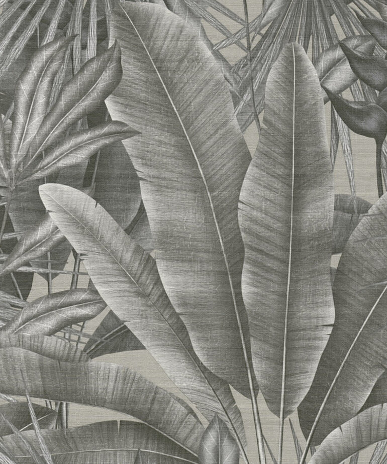 AS Creation Stories of Life 396473/39647-3