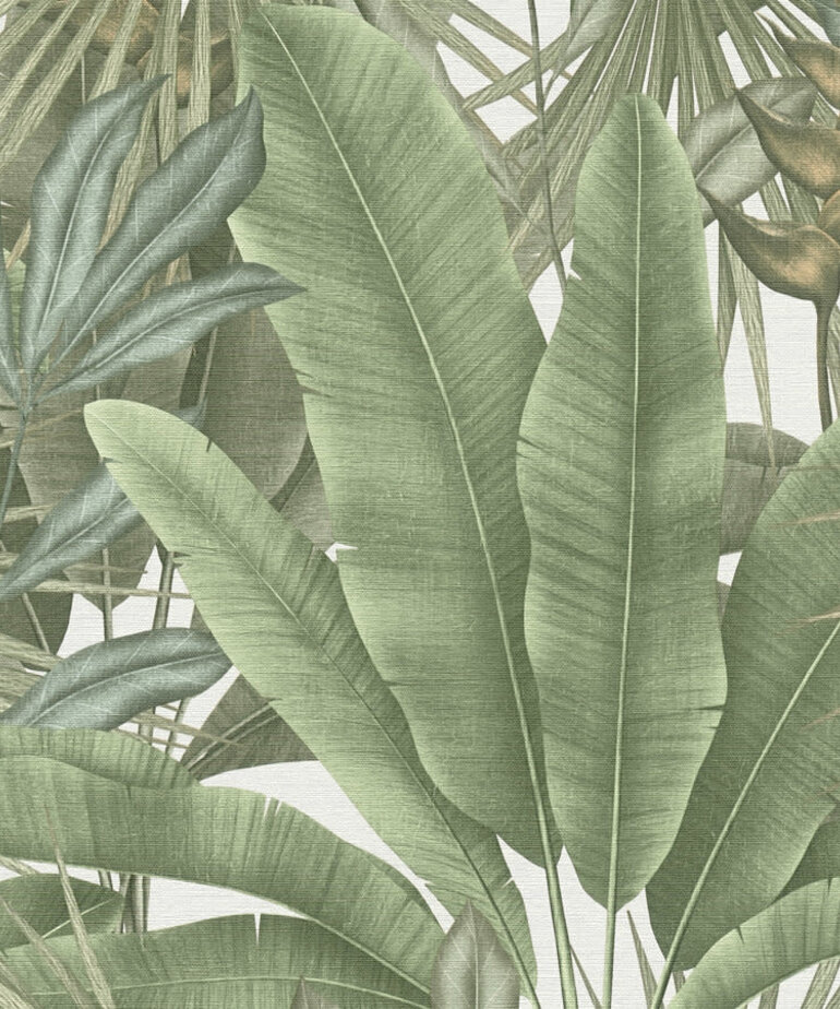 AS Creation Stories of Life 396472/39647-2