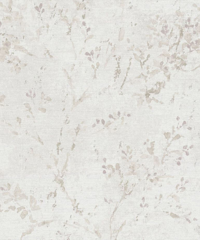 AS Creation Stories of Life 396503/39650-3