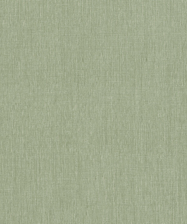 AS Creation Stories of Life 396521/39652-1