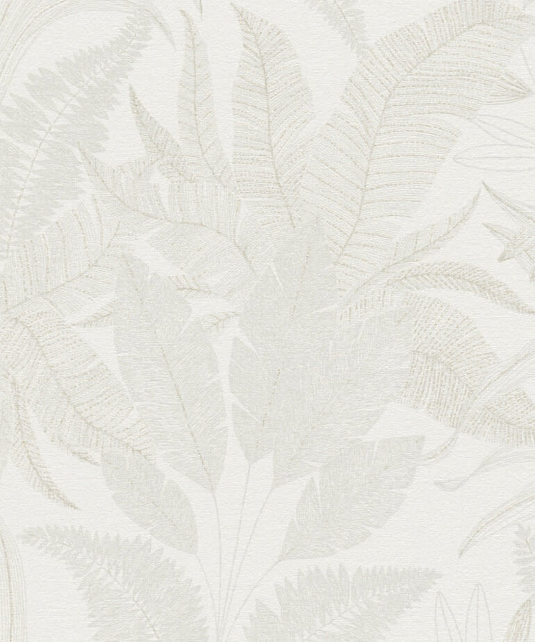 AS Creation Stories of Life 396542/39654-2