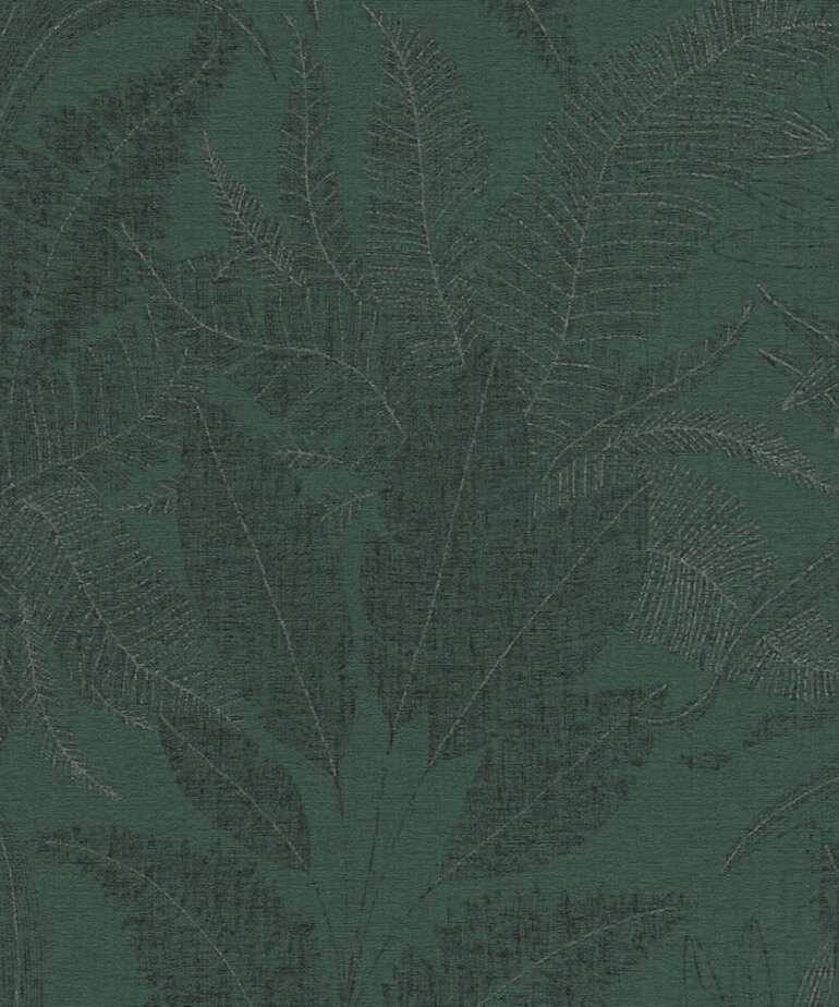 AS Creation Stories of Life 396543/39654-3