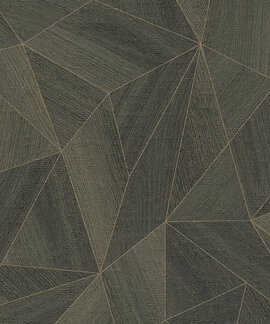 AS Creation Daniel Hechter 36133-4 / 361334 Zwart -Groen