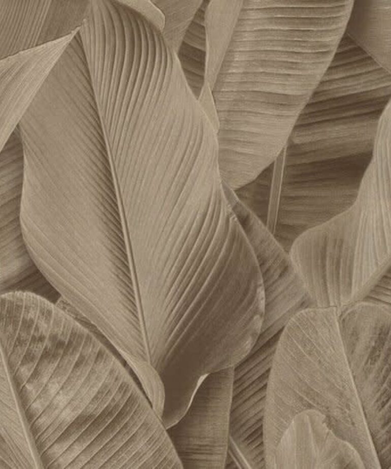 Montecolino Folium 17807 Taupe Banana Leaves
