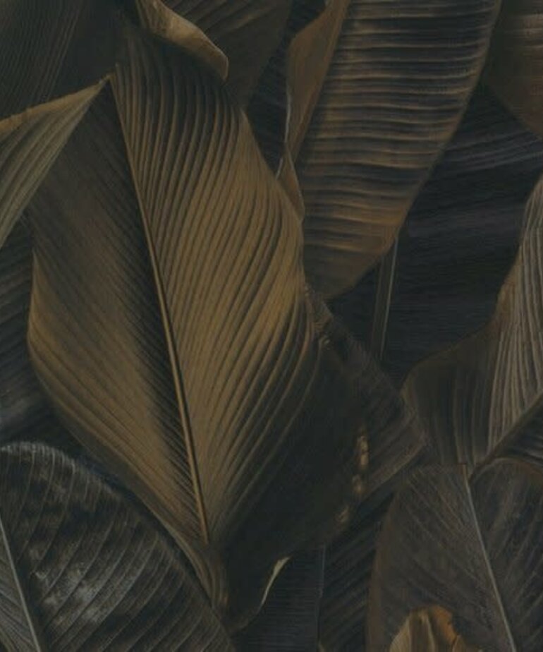 Montecolino Folium 17808 Dark Banana Leaves