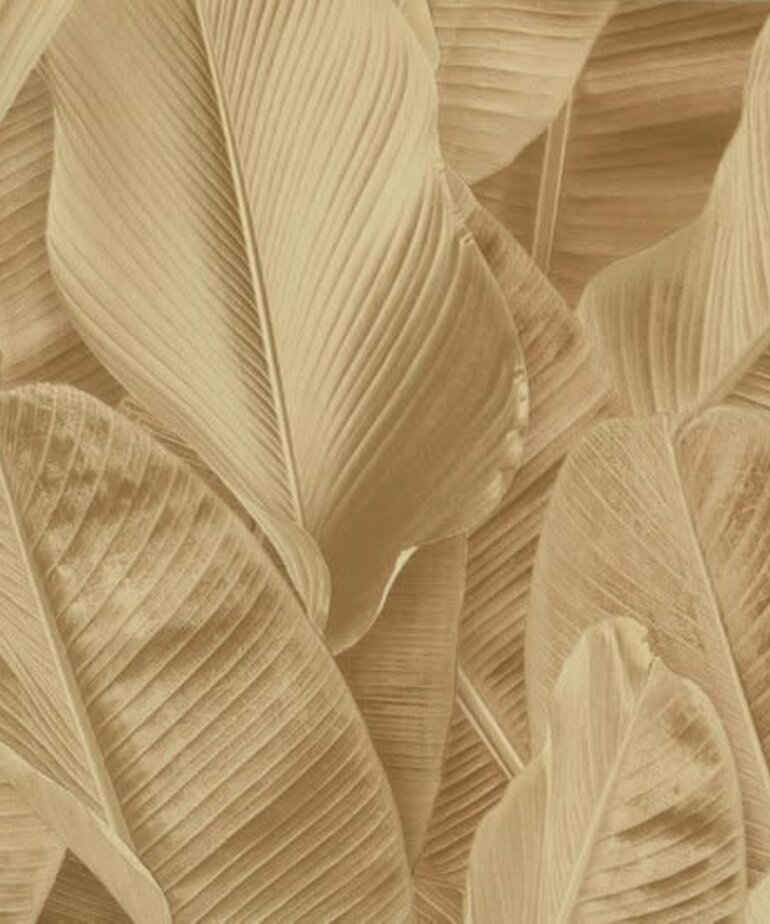 Montecolino Folium 17806 Taupe Soft Brown Banana Leaves