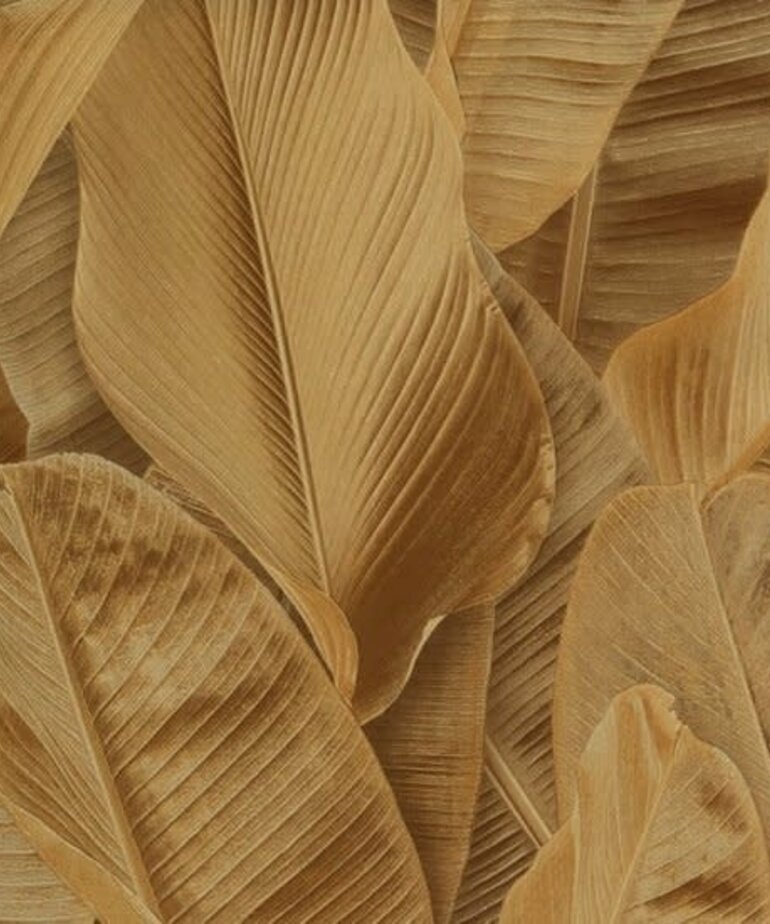 Montecolino Folium 17802 Golden Banana Leaves