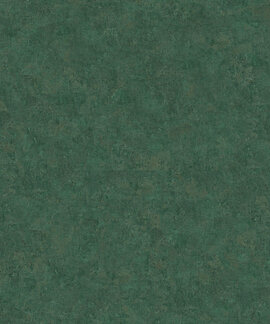 AS Creation History of Art 376558 /  37655-8