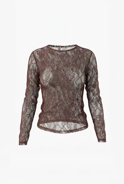 TonnyW6 Lace Top - Brown