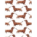 Fritsy Kaart | Teckels