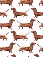 Fritsy Kaart | Teckels