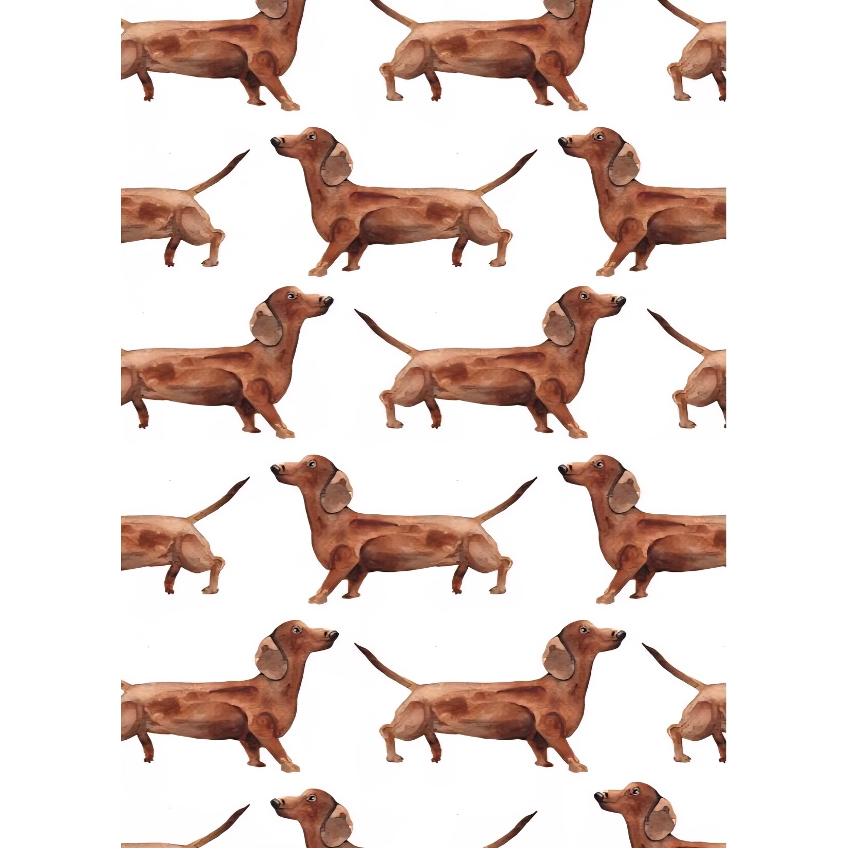 Fritsy Kaart | Teckels