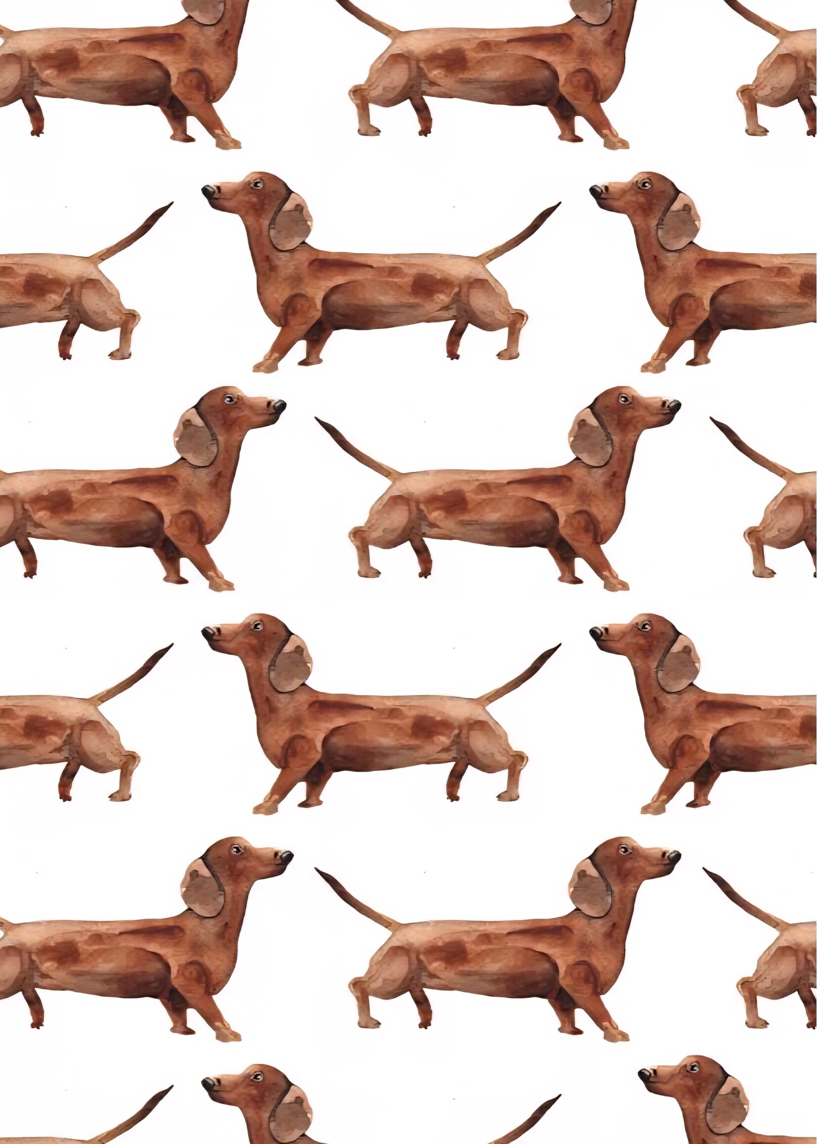 Fritsy Kaart | Teckels