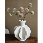 Vaas | Organisch | Crème