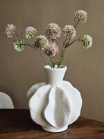 Vaas | Organisch | Crème