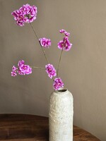 Bloesemtak | Prunus | Fuchsia