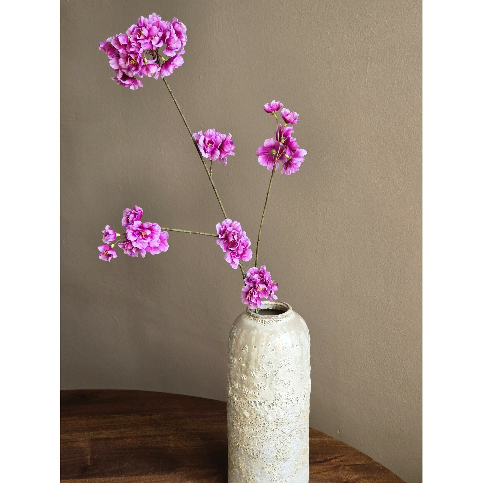 Bloesemtak | Prunus | Fuchsia