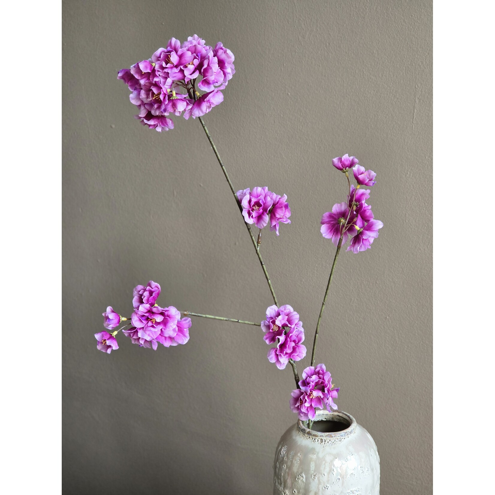 Bloesemtak | Prunus | Fuchsia