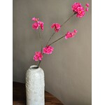 Bloesemtak | Prunus | Roze