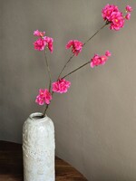 Bloesemtak | Prunus | Roze