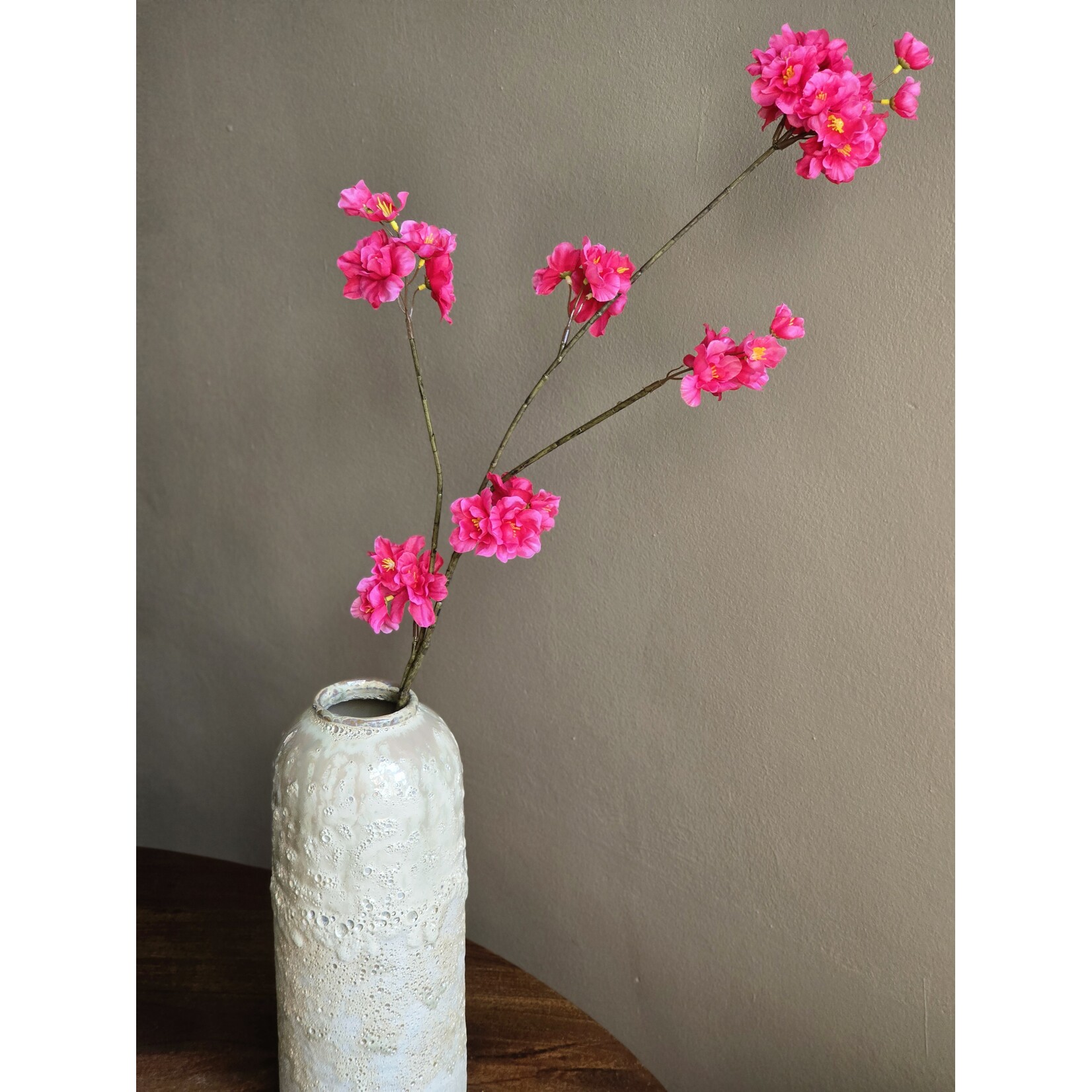 Bloesemtak | Prunus | Roze