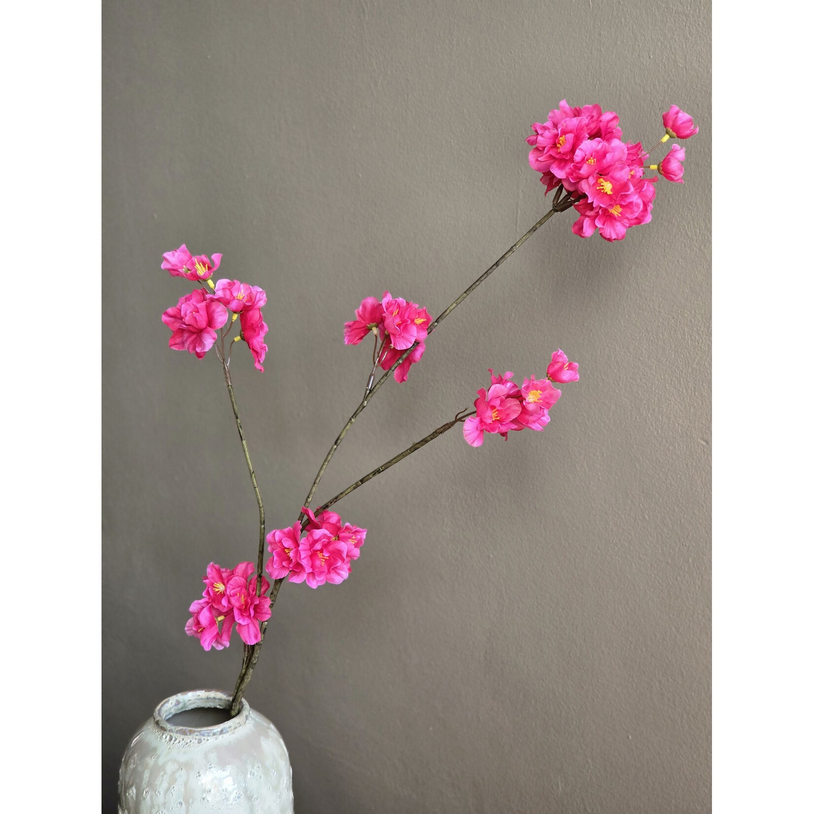 Bloesemtak | Prunus | Roze