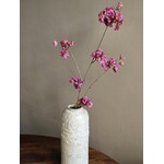 Bloesemtak | Prunus | Vermillion