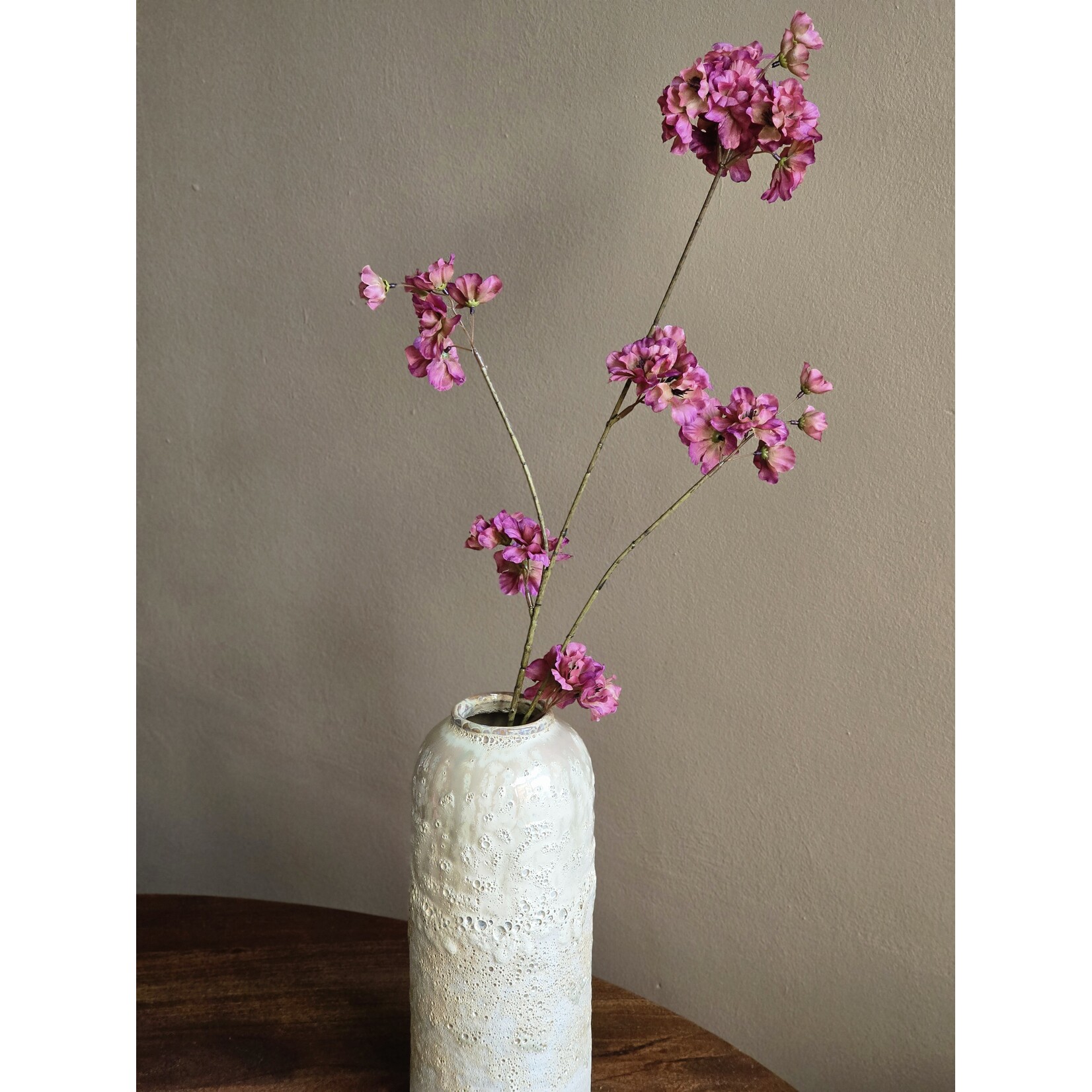 Bloesemtak | Prunus | Vermillion