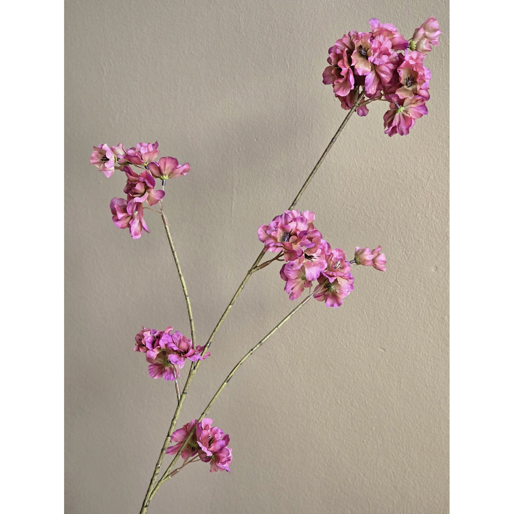 Bloesemtak | Prunus | Vermillion