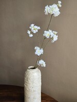 Bloesemtak | Prunus | Wit