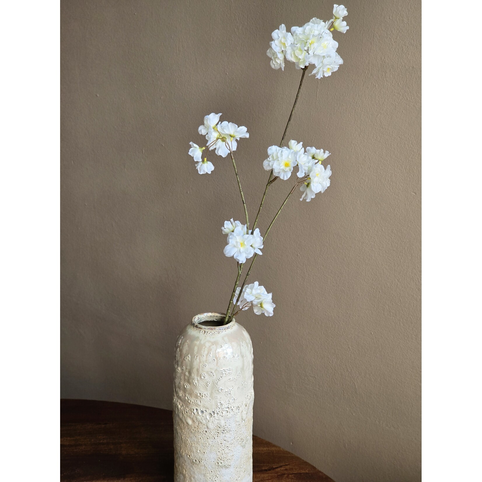 Bloesemtak | Prunus | Wit