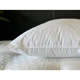 Hoofdkussen Saffier - micro vezel