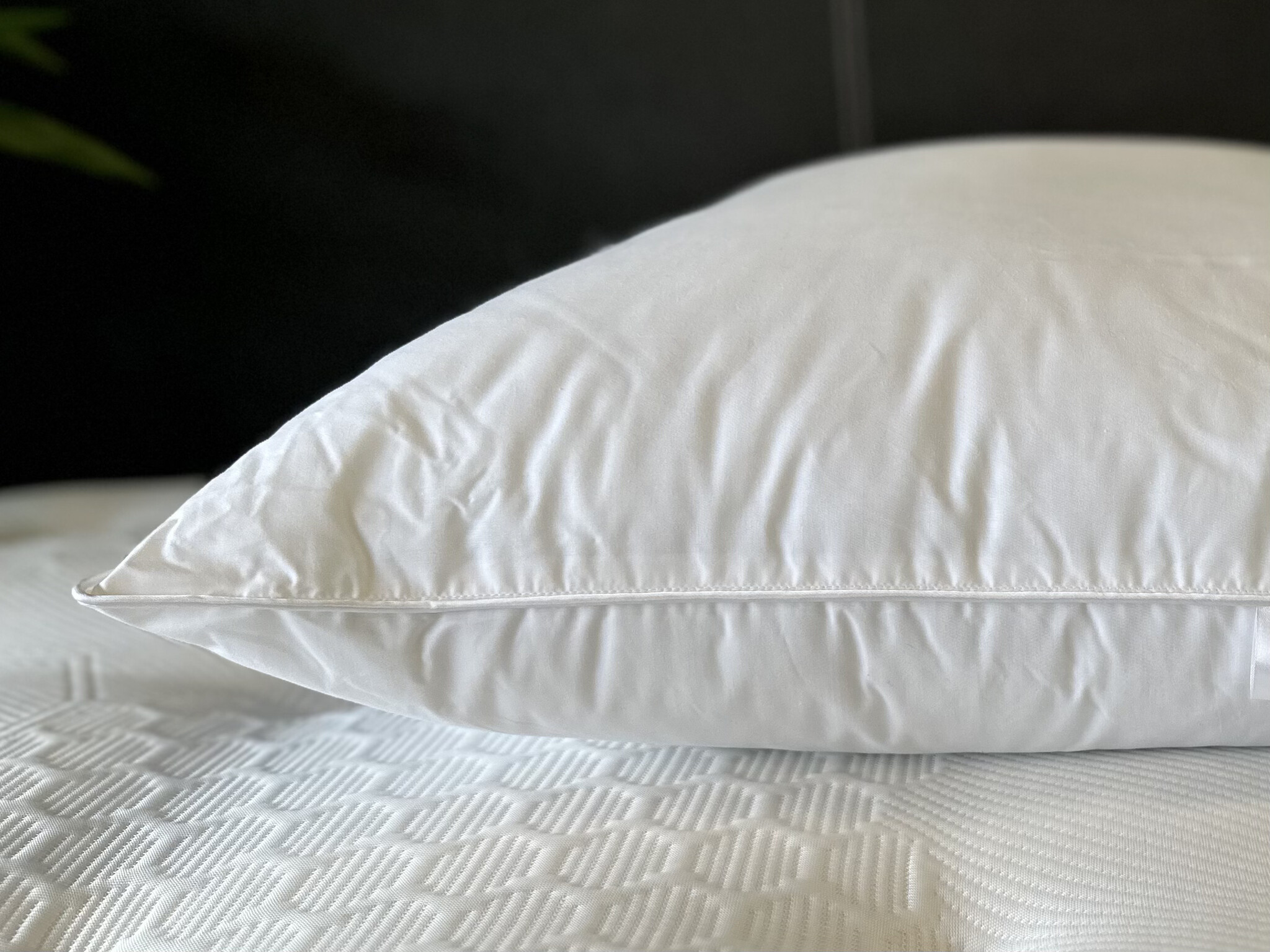 Hoofdkussen Saffier - micro vezel