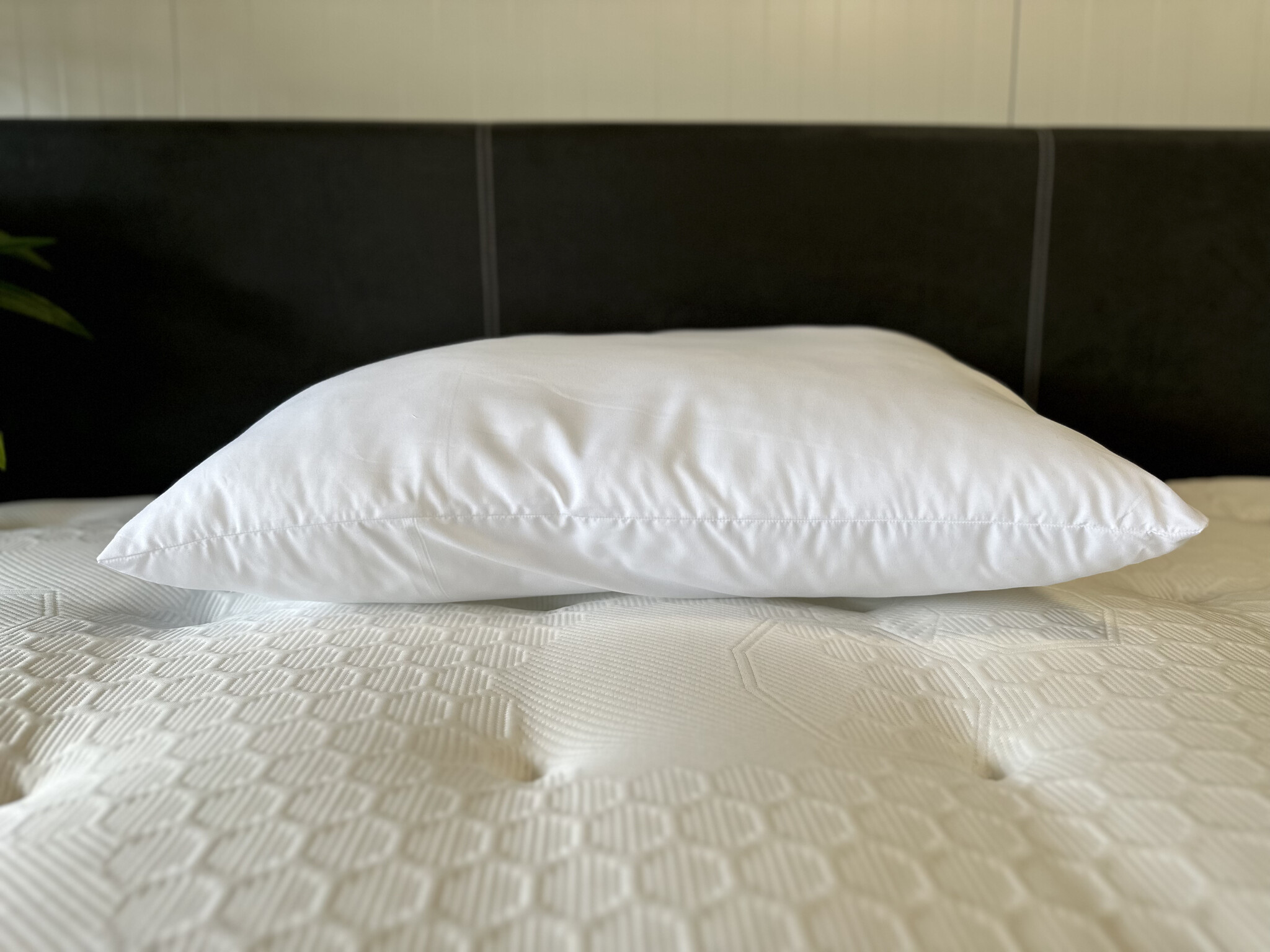 Hoofdkussen Amber - holle vezel