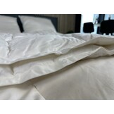 Dekbed 90% eendendons vier seizoenen