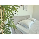 Boxspring Sunday Limited Edition