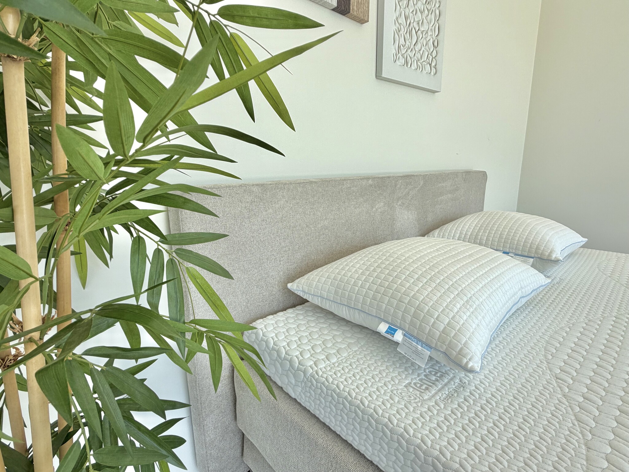 Boxspring Sunday Limited Edition