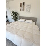 Dekbed 90% Ganzendons