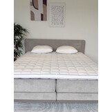 Bronze Talalay | 7/8CM
