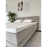 Crown Breeze | 10 CM
