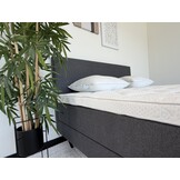 Boxspring Kansas